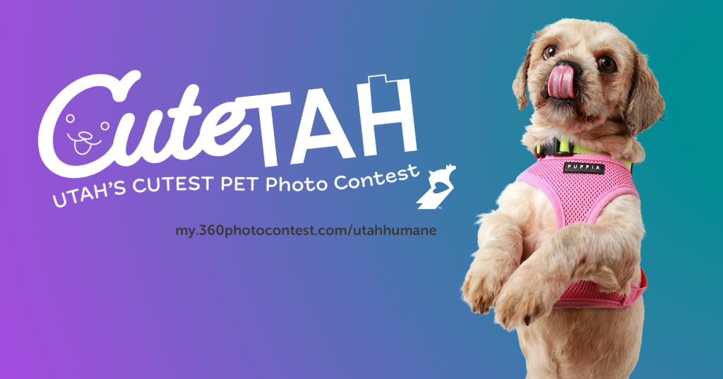 Humane society of utah 2023 fundraiser 360 photo contest